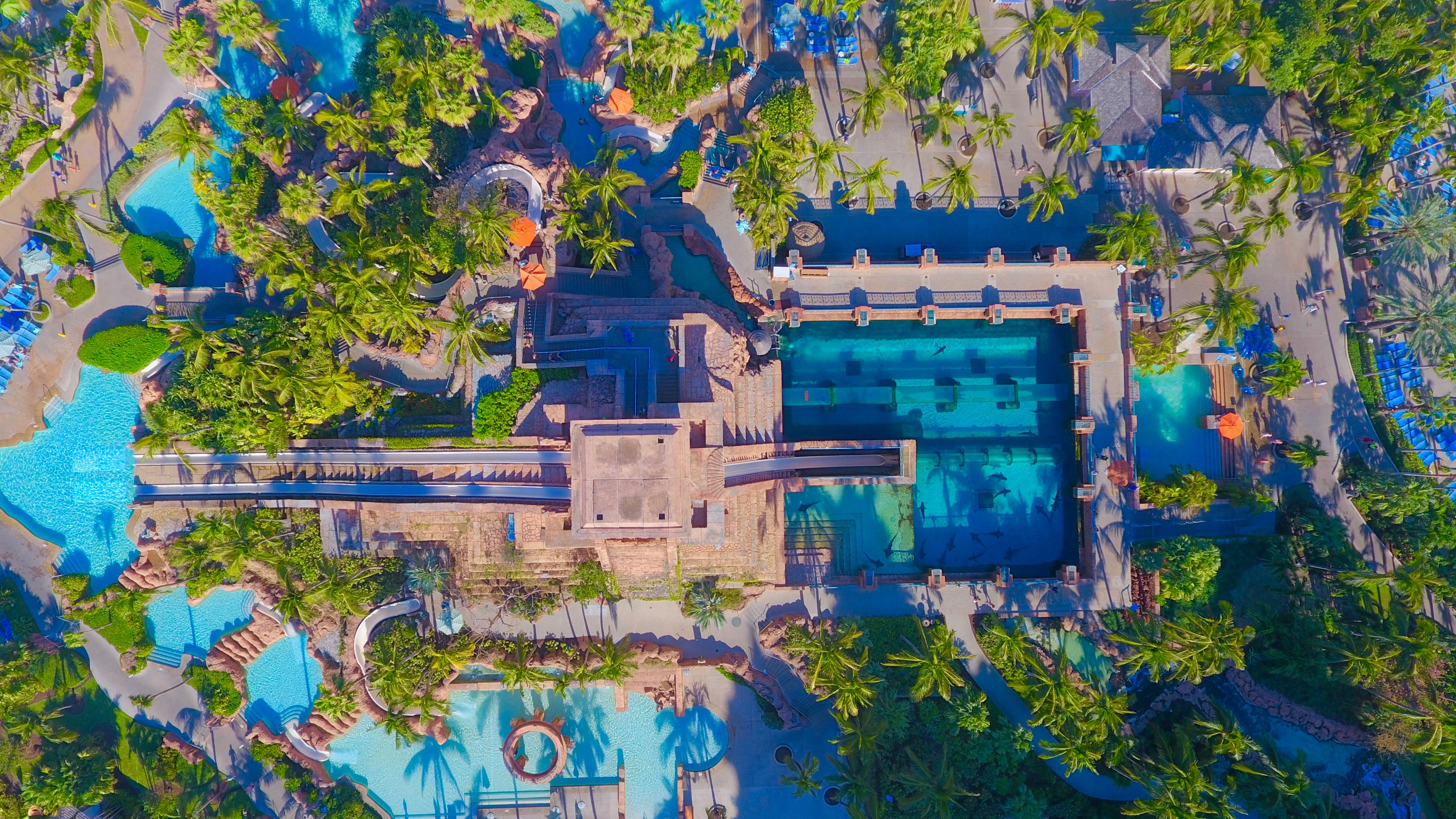The Cove At Atlantis Hotel Nassau Bagian luar foto